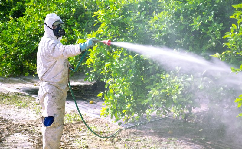 Pest Fumigation Service in Bellingham, WA