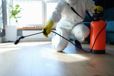 Spider Control Service in Frisco, TX