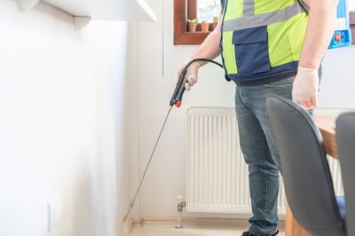 Ant Control Service in Fort Worth, TX