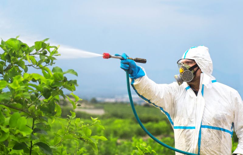 Commercial Fumigation in Asheville, NC