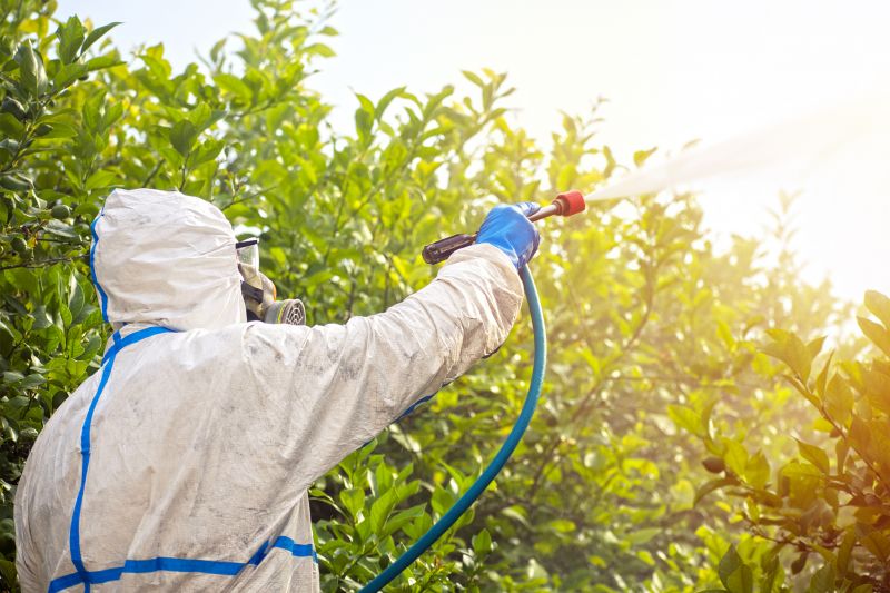 Commercial Fumigation in Fort Collins, CO