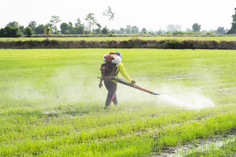Commercial Fumigation
