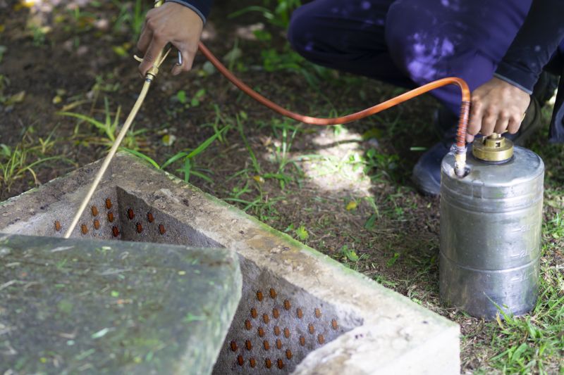 Cockroach Fumigation detail