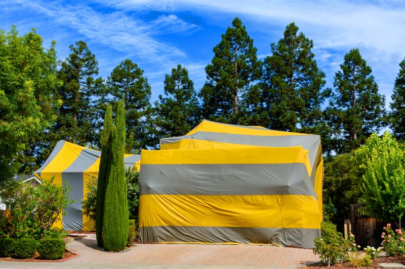 How Fumigation Works In Residential And Commercial Buildings