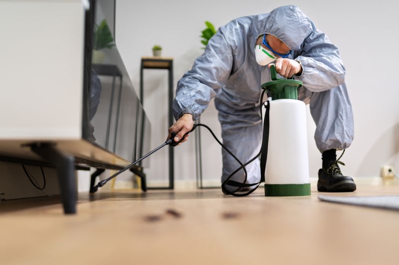 Insect Extermination Service in Frisco, TX