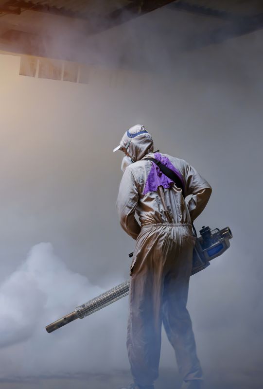 Rat Fumigation Service in San Antonio, TX