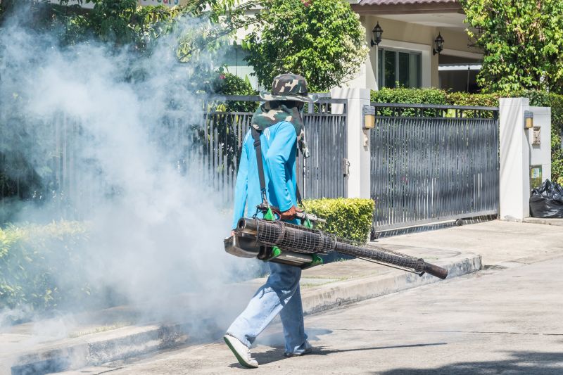 Roach Fumigation in San Antonio, TX