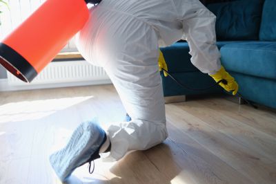 Roach Fumigation in Fort Collins, CO