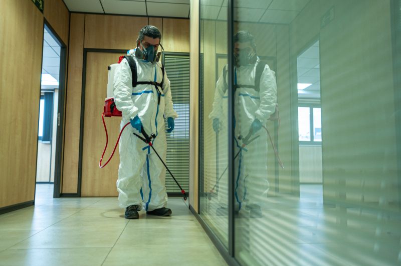 Spider Fumigation Service in Toledo, OH