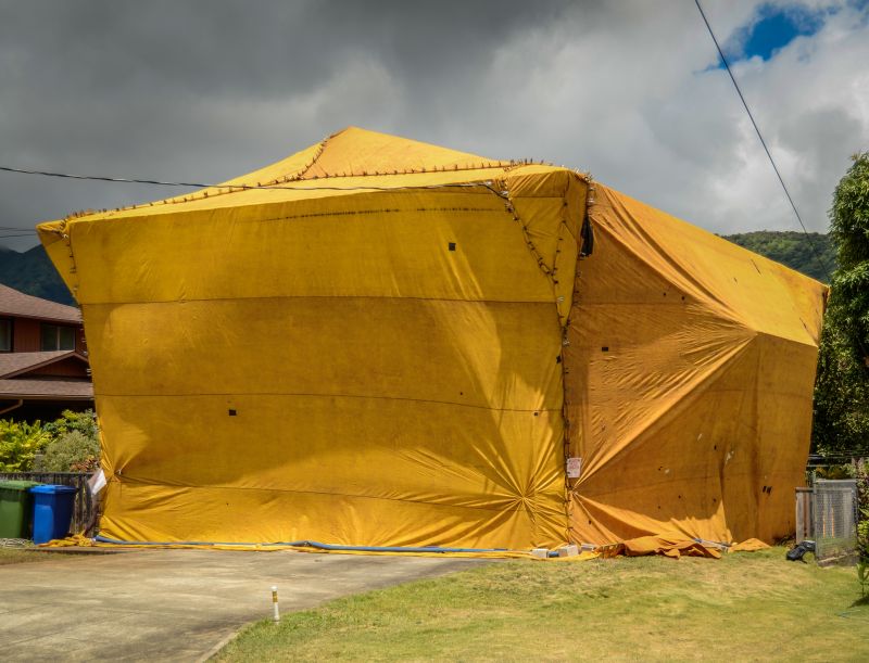Termite Tenting in Bellingham, WA