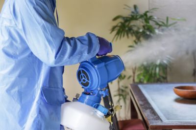 The Most Common Pests That Require Fumigation